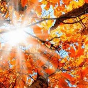 Meet your Posher, Tommy